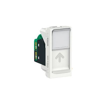 ORION MOD TOM RJ45 CAT5E 8FIOS BRANCO S70540004