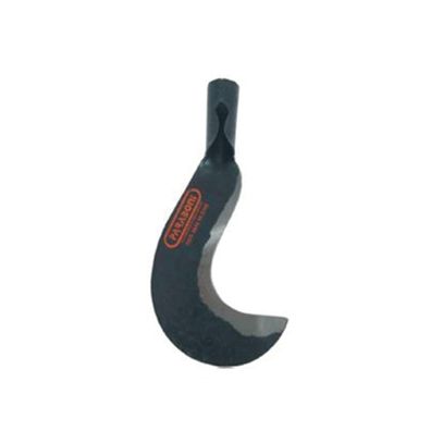 FOICE RS/SC 10 S/CABO 100446 PARABONI