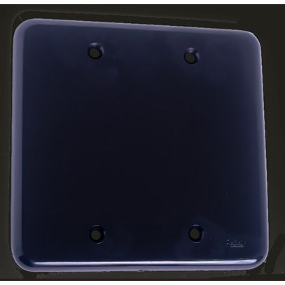 POLAR BLACK PLACA 4x4 CEGA RADIAL