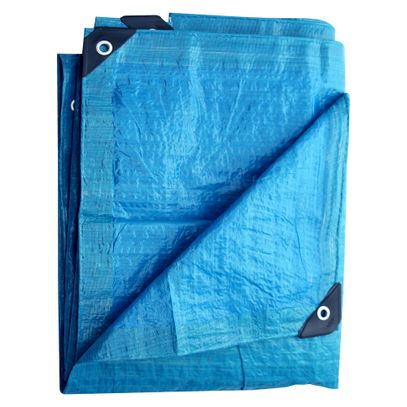 LONA POLIETILENO AZUL 4x3 MISTER