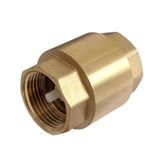 VALVULA POCO RETENCAO VERTICAL 1 PNG