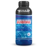 REDUTOR DE PH E ALCALINIDADE 1lt QUIBENNE